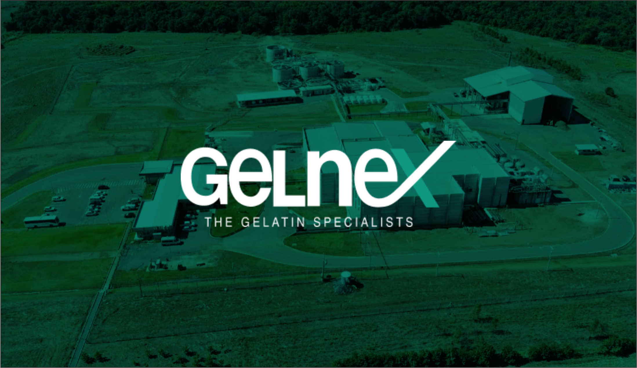 Gelnex capa