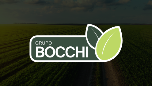 Grupo bocchi